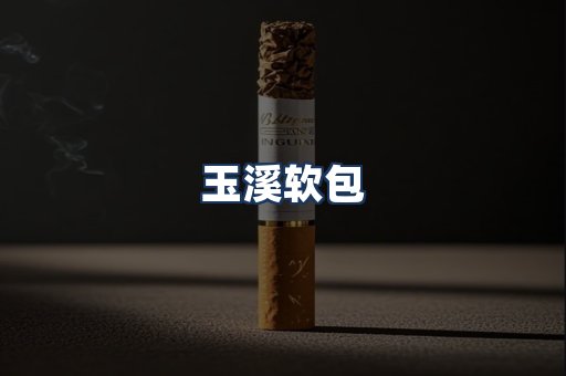 玉溪软包